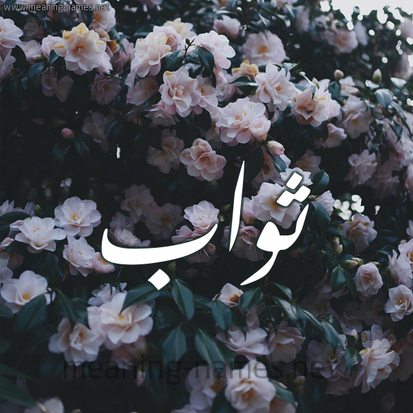 شكل 11 صوره ورود فل وياسمين للإسم بخط رقعة صورة اسم ثَوَّاب THAOAAB شكل 11 صوره ورود فل وياسمين للإسم بخط رقعة صورة اسم ثَوَّاب THAOAAB