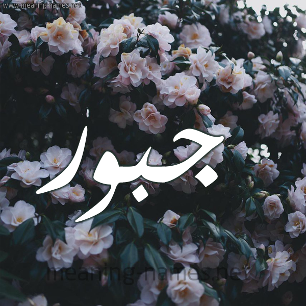 شكل 11 صوره ورود فل وياسمين للإسم بخط رقعة صورة اسم جَبُّور GABOOR شكل 11 صوره ورود فل وياسمين للإسم بخط رقعة صورة اسم جَبُّور GABOOR