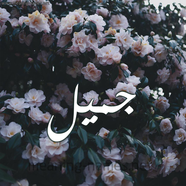 شكل 11 صوره ورود فل وياسمين للإسم بخط رقعة صورة اسم جُمَيِّل GOMAIEL شكل 11 صوره ورود فل وياسمين للإسم بخط رقعة صورة اسم جُمَيِّل GOMAIEL