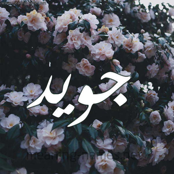 شكل 11 صوره ورود فل وياسمين للإسم بخط رقعة صورة اسم جُوَيِّد GOOAIED شكل 11 صوره ورود فل وياسمين للإسم بخط رقعة صورة اسم جُوَيِّد GOOAIED