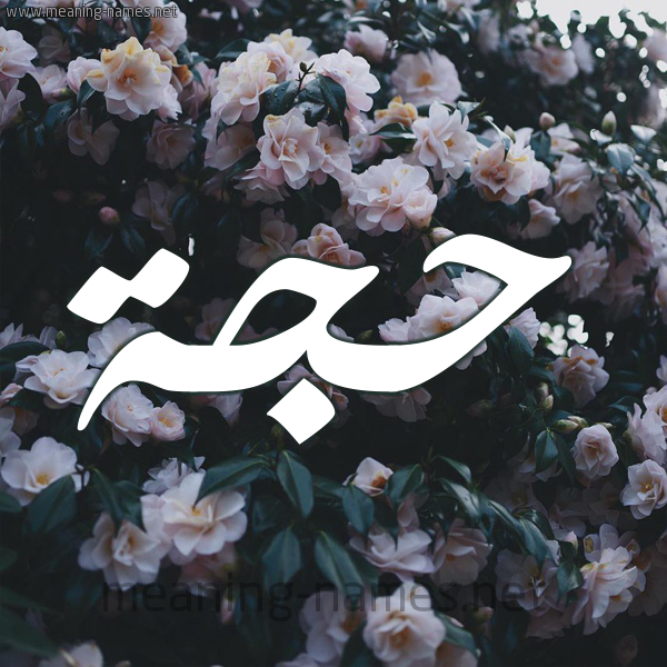شكل 11 صوره ورود فل وياسمين للإسم بخط رقعة صورة اسم حَجَّة HAGAH شكل 11 صوره ورود فل وياسمين للإسم بخط رقعة صورة اسم حَجَّة HAGAH