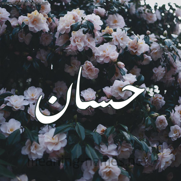 شكل 11 صوره ورود فل وياسمين للإسم بخط رقعة صورة اسم حَسَّان Hassan شكل 11 صوره ورود فل وياسمين للإسم بخط رقعة صورة اسم حَسَّان Hassan