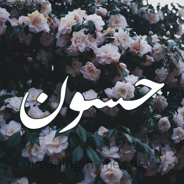 شكل 11 صوره ورود فل وياسمين للإسم بخط رقعة صورة اسم حَسُّون HASOON شكل 11 صوره ورود فل وياسمين للإسم بخط رقعة صورة اسم حَسُّون HASOON