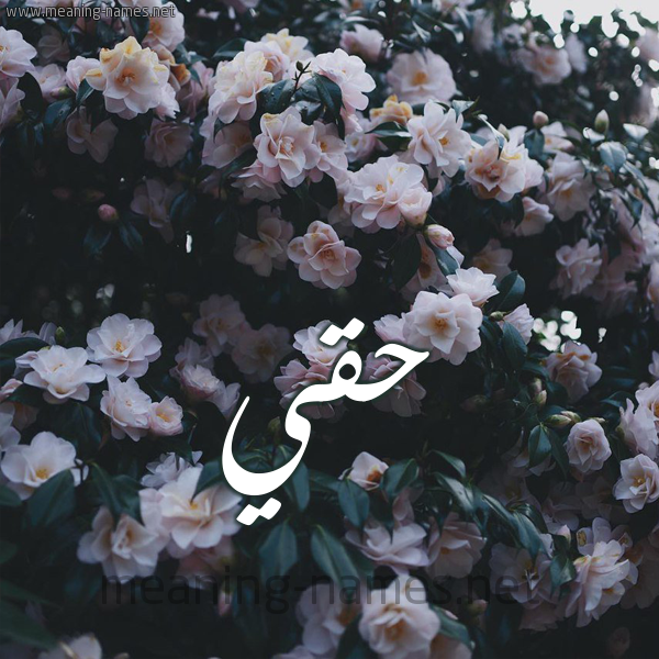 شكل 11 صوره ورود فل وياسمين للإسم بخط رقعة صورة اسم حَقِّي HAQEI شكل 11 صوره ورود فل وياسمين للإسم بخط رقعة صورة اسم حَقِّي HAQEI