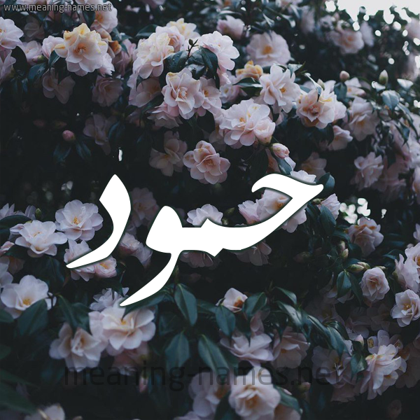 شكل 11 صوره ورود فل وياسمين للإسم بخط رقعة صورة اسم حَمُّود HAMOOD شكل 11 صوره ورود فل وياسمين للإسم بخط رقعة صورة اسم حَمُّود HAMOOD