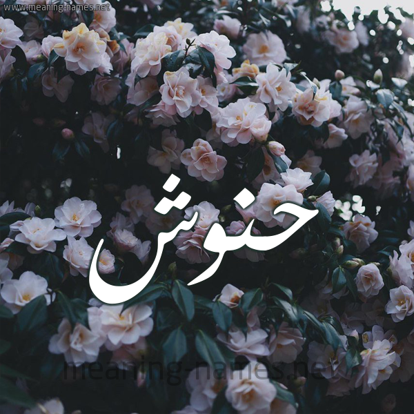 شكل 11 صوره ورود فل وياسمين للإسم بخط رقعة صورة اسم حَنُّوش HANOOSH شكل 11 صوره ورود فل وياسمين للإسم بخط رقعة صورة اسم حَنُّوش HANOOSH