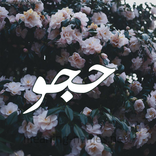 شكل 11 صوره ورود فل وياسمين للإسم بخط رقعة صورة اسم حُجُّو HOGOO شكل 11 صوره ورود فل وياسمين للإسم بخط رقعة صورة اسم حُجُّو HOGOO