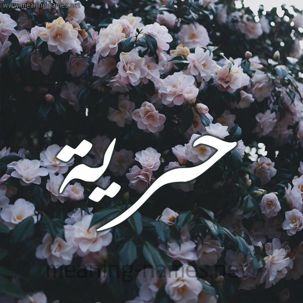 شكل 11 صوره ورود فل وياسمين للإسم بخط رقعة صورة اسم حُرِّية HOREIH شكل 11 صوره ورود فل وياسمين للإسم بخط رقعة صورة اسم حُرِّية HOREIH