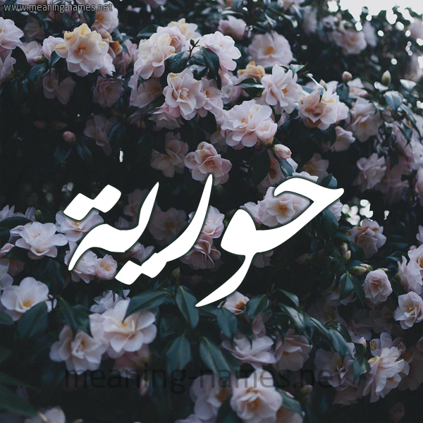 شكل 11 صوره ورود فل وياسمين للإسم بخط رقعة صورة اسم حُوريَّة HOORIAH شكل 11 صوره ورود فل وياسمين للإسم بخط رقعة صورة اسم حُوريَّة HOORIAH