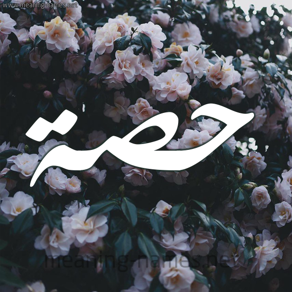 شكل 11 صوره ورود فل وياسمين للإسم بخط رقعة صورة اسم حِصَّة HESAH شكل 11 صوره ورود فل وياسمين للإسم بخط رقعة صورة اسم حِصَّة HESAH
