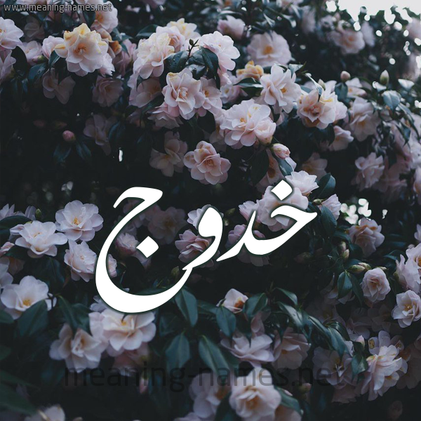 شكل 11 صوره ورود فل وياسمين للإسم بخط رقعة صورة اسم خَدُّوج KHADOOG شكل 11 صوره ورود فل وياسمين للإسم بخط رقعة صورة اسم خَدُّوج KHADOOG