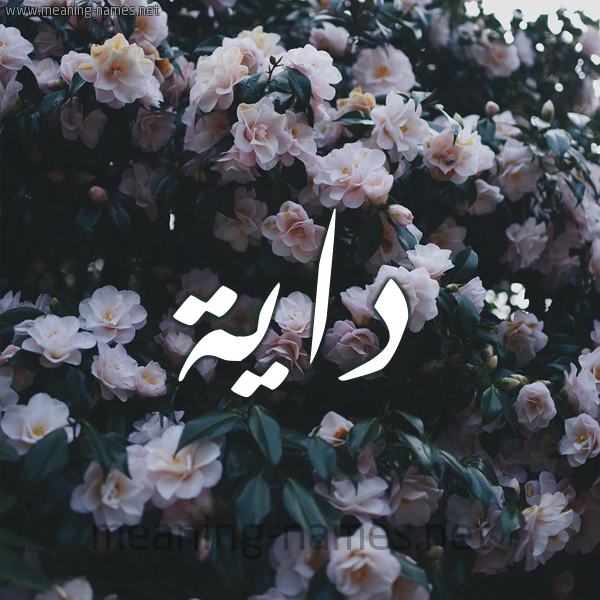شكل 11 صوره ورود فل وياسمين للإسم بخط رقعة