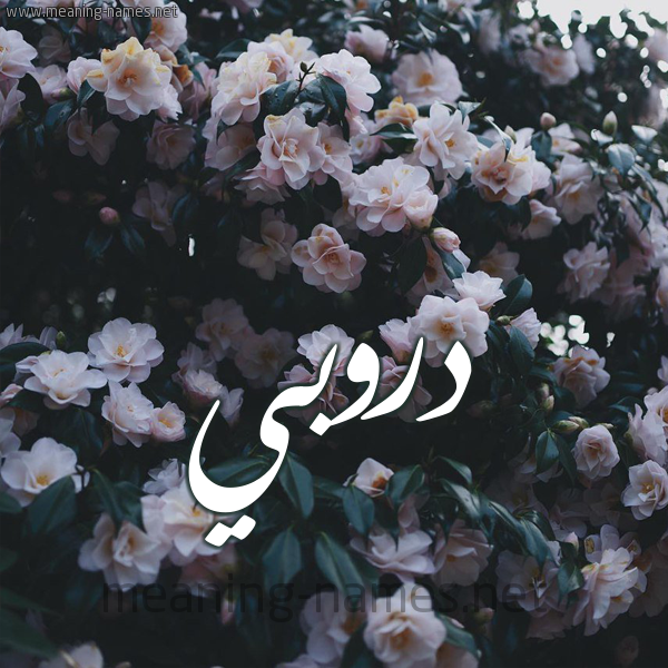 شكل 11 صوره ورود فل وياسمين للإسم بخط رقعة