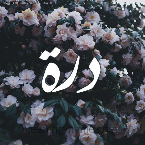 شكل 11 صوره ورود فل وياسمين للإسم بخط رقعة صورة اسم دُرَّة DORAH شكل 11 صوره ورود فل وياسمين للإسم بخط رقعة صورة اسم دُرَّة DORAH