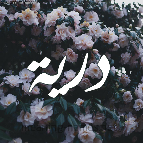 شكل 11 صوره ورود فل وياسمين للإسم بخط رقعة صورة اسم دُرِّيَّة DOREIAH شكل 11 صوره ورود فل وياسمين للإسم بخط رقعة صورة اسم دُرِّيَّة DOREIAH