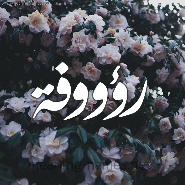 شكل 11 صوره ورود فل وياسمين للإسم بخط رقعة