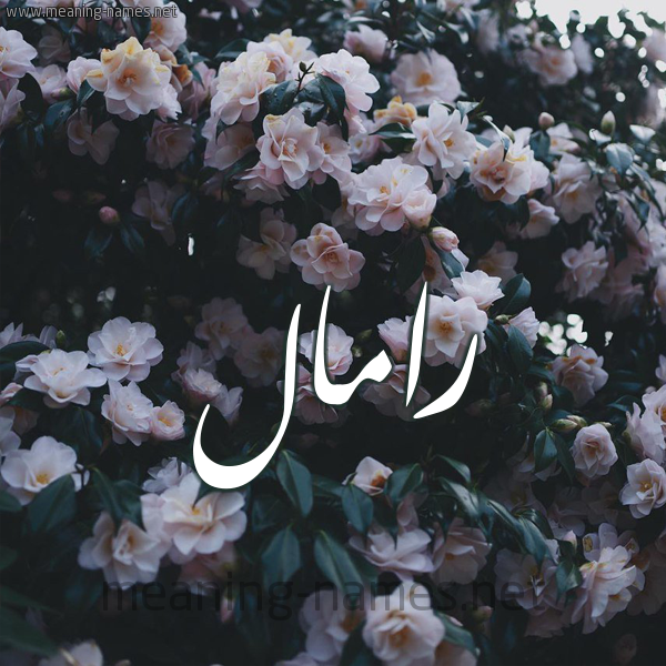 شكل 11 صوره ورود فل وياسمين للإسم بخط رقعة