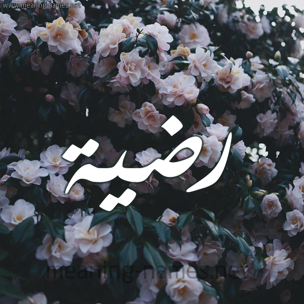 شكل 11 صوره ورود فل وياسمين للإسم بخط رقعة صورة اسم رضيَّة RDIAH شكل 11 صوره ورود فل وياسمين للإسم بخط رقعة صورة اسم رضيَّة RDIAH