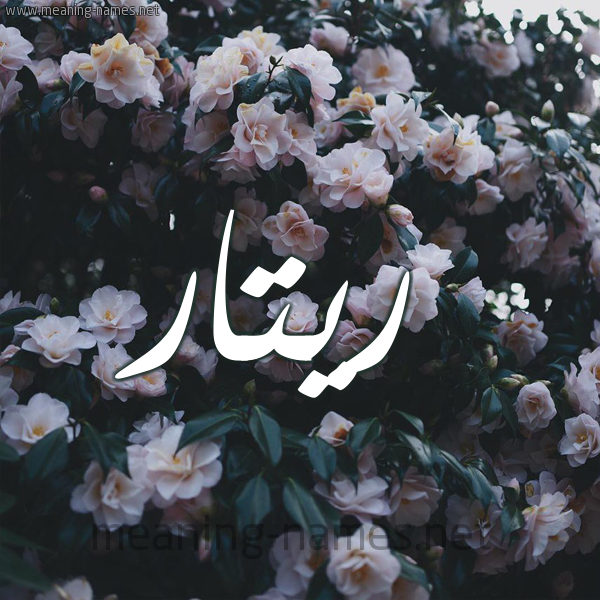 شكل 11 صوره ورود فل وياسمين للإسم بخط رقعة