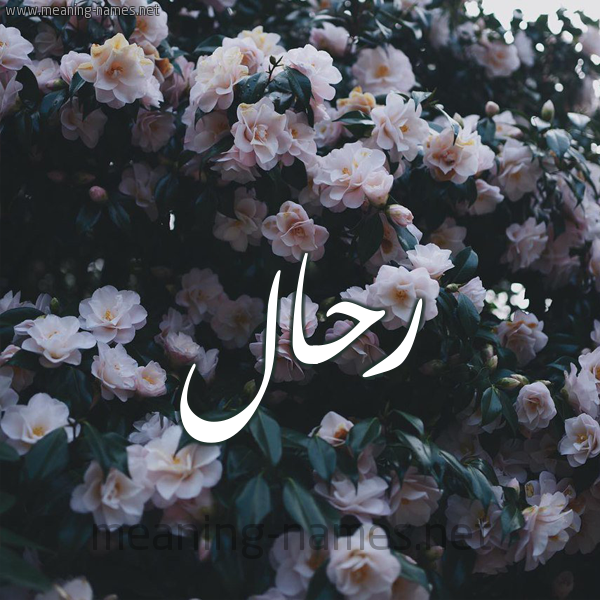 شكل 11 صوره ورود فل وياسمين للإسم بخط رقعة صورة اسم رَحَّال RAHAAL شكل 11 صوره ورود فل وياسمين للإسم بخط رقعة صورة اسم رَحَّال RAHAAL