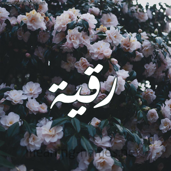 شكل 11 صوره ورود فل وياسمين للإسم بخط رقعة صورة اسم رُقَيَّة Rokia شكل 11 صوره ورود فل وياسمين للإسم بخط رقعة صورة اسم رُقَيَّة Rokia