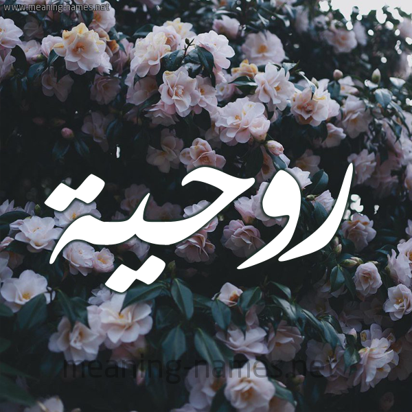 شكل 11 صوره ورود فل وياسمين للإسم بخط رقعة صورة اسم رُوحِيَّة ROOHEIAH شكل 11 صوره ورود فل وياسمين للإسم بخط رقعة صورة اسم رُوحِيَّة ROOHEIAH