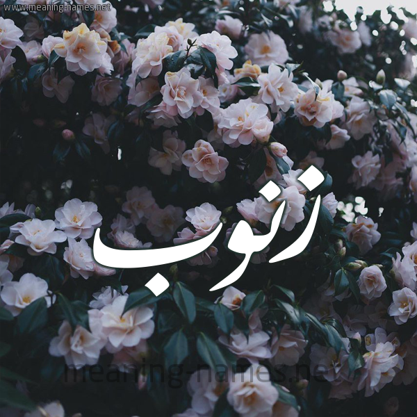 صورة اسم زَنُّوب ZANOOB شكل 11 صوره ورود فل وياسمين للإسم بخط رقعة صورة اسم زَنُّوب ZANOOB شكل 11 صوره ورود فل وياسمين للإسم بخط رقعة