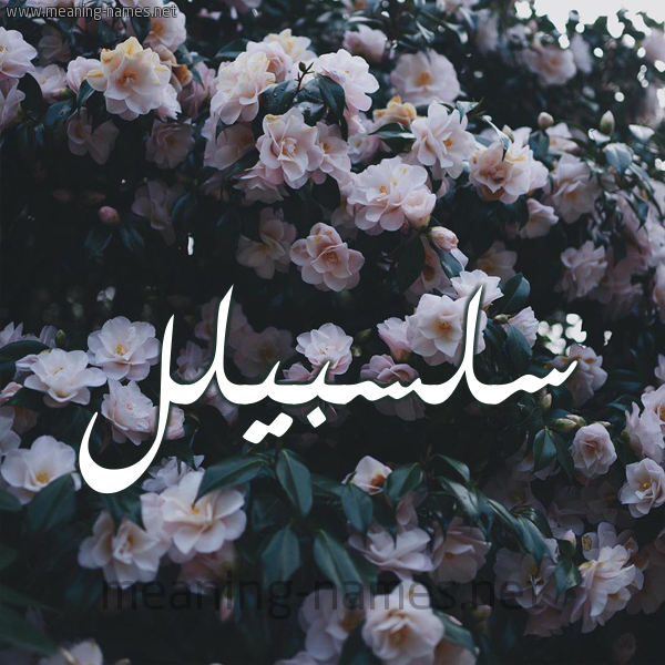 شكل 11 صوره ورود فل وياسمين للإسم بخط رقعة صورة اسم سلسبيلل Salsabil