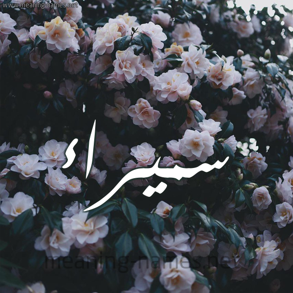 شكل 11 صوره ورود فل وياسمين للإسم بخط رقعة صورة اسم سميراء Smyra'a