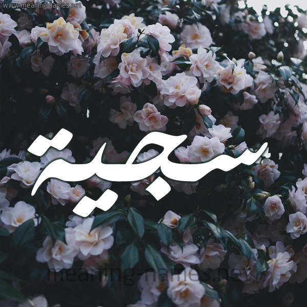 شكل 11 صوره ورود فل وياسمين للإسم بخط رقعة صورة اسم سَجِيَّة SAGEIAH شكل 11 صوره ورود فل وياسمين للإسم بخط رقعة صورة اسم سَجِيَّة SAGEIAH