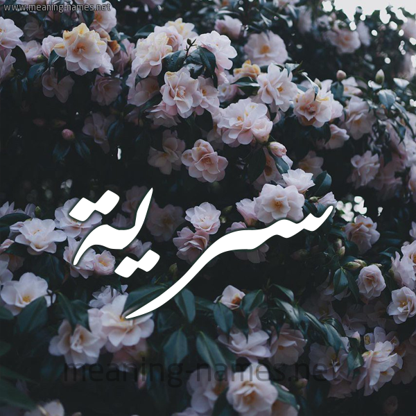 شكل 11 صوره ورود فل وياسمين للإسم بخط رقعة صورة اسم سَرِيَّة SAREIAH شكل 11 صوره ورود فل وياسمين للإسم بخط رقعة صورة اسم سَرِيَّة SAREIAH
