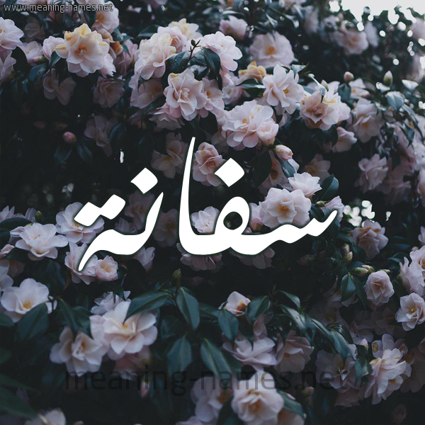 شكل 11 صوره ورود فل وياسمين للإسم بخط رقعة صورة اسم سَفَّانة SAFAANH شكل 11 صوره ورود فل وياسمين للإسم بخط رقعة صورة اسم سَفَّانة SAFAANH