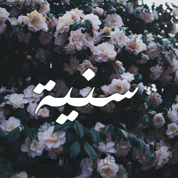 شكل 11 صوره ورود فل وياسمين للإسم بخط رقعة صورة اسم سَنِيَّة SANEIAH شكل 11 صوره ورود فل وياسمين للإسم بخط رقعة صورة اسم سَنِيَّة SANEIAH