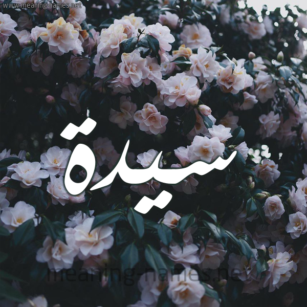 شكل 11 صوره ورود فل وياسمين للإسم بخط رقعة صورة اسم سَيِّدَة SAIEDAH شكل 11 صوره ورود فل وياسمين للإسم بخط رقعة صورة اسم سَيِّدَة SAIEDAH