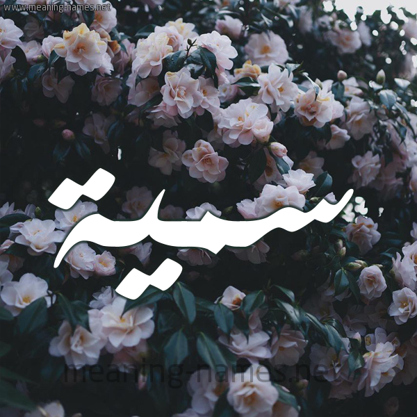 شكل 11 صوره ورود فل وياسمين للإسم بخط رقعة صورة اسم سُمَيَّة Somia شكل 11 صوره ورود فل وياسمين للإسم بخط رقعة صورة اسم سُمَيَّة Somia