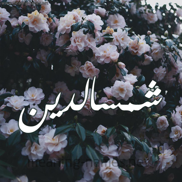 شكل 11 صوره ورود فل وياسمين للإسم بخط رقعة