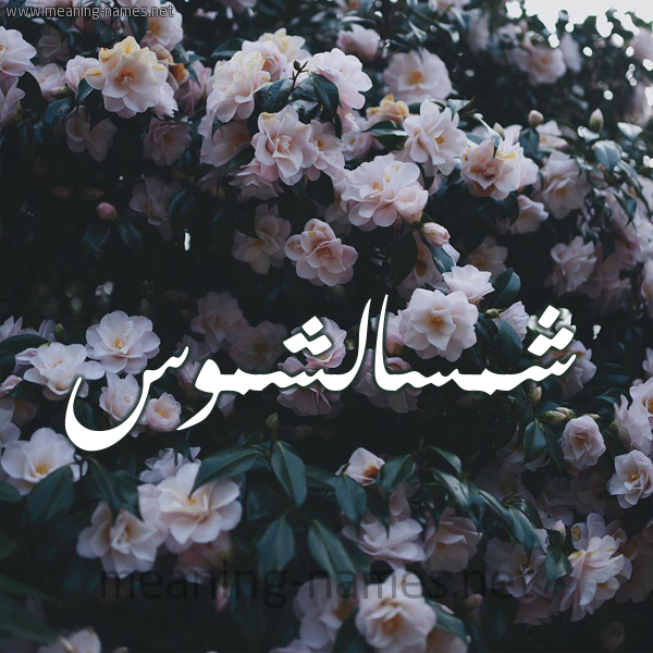 شكل 11 صوره ورود فل وياسمين للإسم بخط رقعة