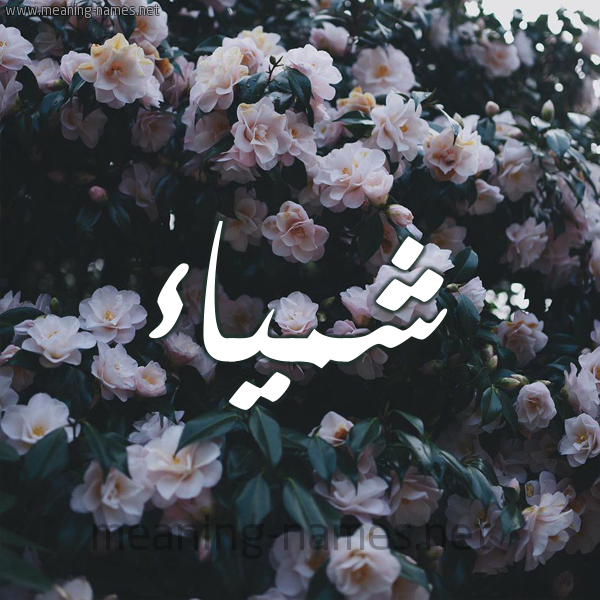 شكل 11 صوره ورود فل وياسمين للإسم بخط رقعة صورة اسم شمَّياء Shamma شكل 11 صوره ورود فل وياسمين للإسم بخط رقعة صورة اسم شمَّياء Shamma