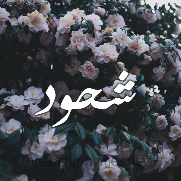 شكل 11 صوره ورود فل وياسمين للإسم بخط رقعة صورة اسم شَحُّود SHAHOOD شكل 11 صوره ورود فل وياسمين للإسم بخط رقعة صورة اسم شَحُّود SHAHOOD