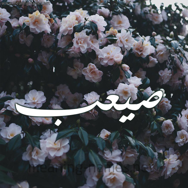 شكل 11 صوره ورود فل وياسمين للإسم بخط رقعة