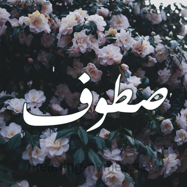 شكل 11 صوره ورود فل وياسمين للإسم بخط رقعة صورة اسم صَطُّوف SATOOF شكل 11 صوره ورود فل وياسمين للإسم بخط رقعة صورة اسم صَطُّوف SATOOF