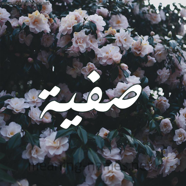 شكل 11 صوره ورود فل وياسمين للإسم بخط رقعة صورة اسم صَفِيَّة Safia شكل 11 صوره ورود فل وياسمين للإسم بخط رقعة صورة اسم صَفِيَّة Safia