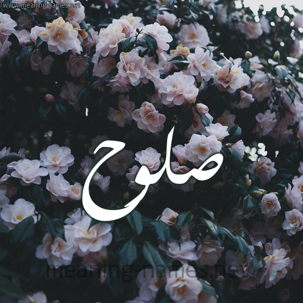 شكل 11 صوره ورود فل وياسمين للإسم بخط رقعة صورة اسم صَلُّوح SALOOH شكل 11 صوره ورود فل وياسمين للإسم بخط رقعة صورة اسم صَلُّوح SALOOH