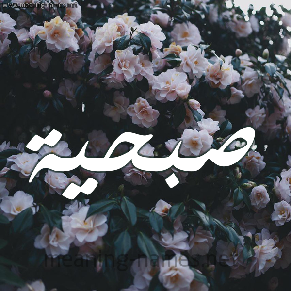 شكل 11 صوره ورود فل وياسمين للإسم بخط رقعة صورة اسم صُبْحيَّة SOBHIAH شكل 11 صوره ورود فل وياسمين للإسم بخط رقعة صورة اسم صُبْحيَّة SOBHIAH