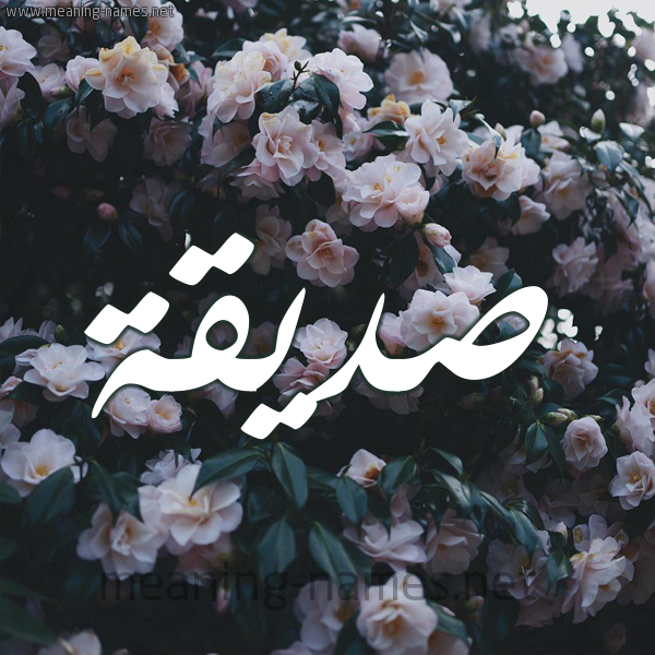 شكل 11 صوره ورود فل وياسمين للإسم بخط رقعة صورة اسم صِدِّيقة SEDEIQH شكل 11 صوره ورود فل وياسمين للإسم بخط رقعة صورة اسم صِدِّيقة SEDEIQH