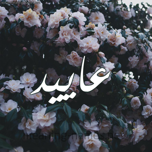 شكل 11 صوره ورود فل وياسمين للإسم بخط رقعة صورة اسم عاييد Aaed