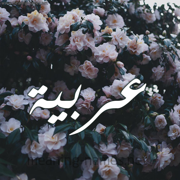 شكل 11 صوره ورود فل وياسمين للإسم بخط رقعة صورة اسم عربيَّة ARBIAH شكل 11 صوره ورود فل وياسمين للإسم بخط رقعة صورة اسم عربيَّة ARBIAH