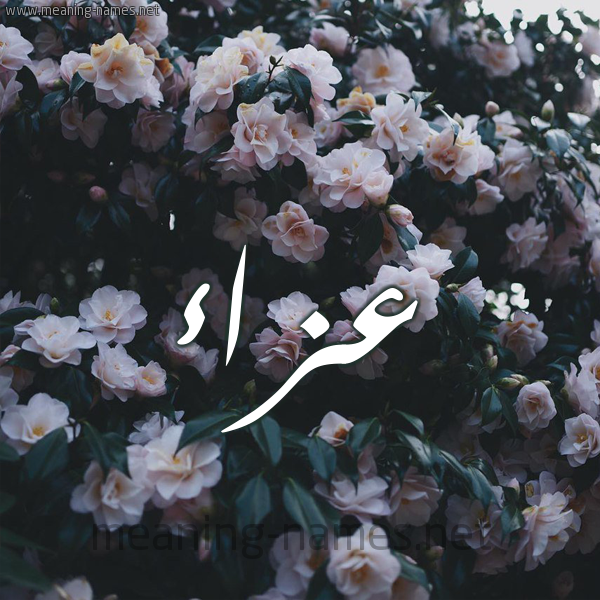 شكل 11 صوره ورود فل وياسمين للإسم بخط رقعة صورة اسم عزاء Aza'a