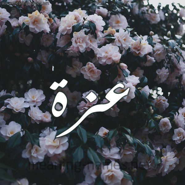 شكل 11 صوره ورود فل وياسمين للإسم بخط رقعة صورة اسم عزة Azza
