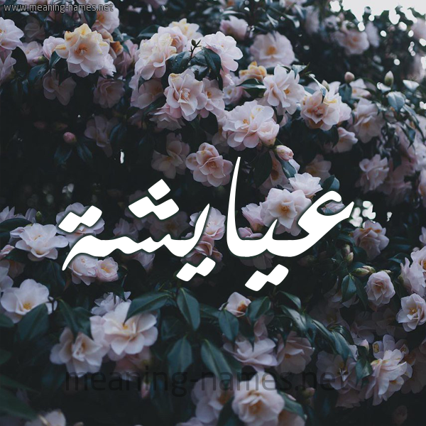 شكل 11 صوره ورود فل وياسمين للإسم بخط رقعة صورة اسم عيايشة Aisha